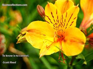 scott_reed_quotes Quotes 1